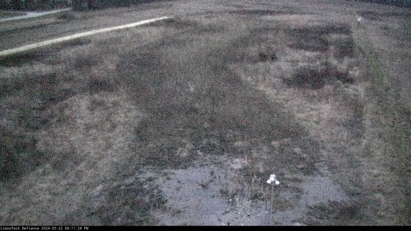 Cell 1_24-03-22_20-11-29-34