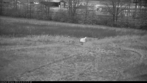 Cell 2 to 3_24-03-22_07-21-58-32