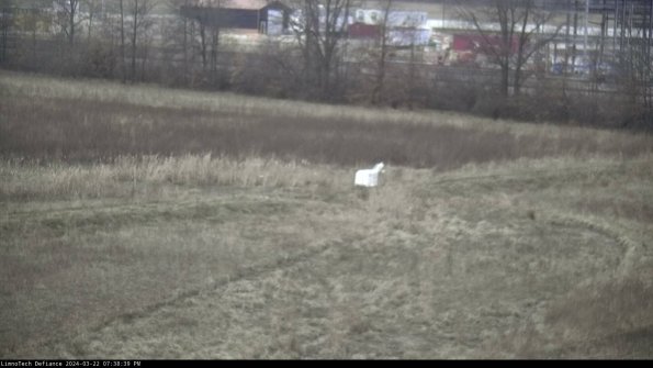 Cell 2 to 3_24-03-22_19-38-39-53