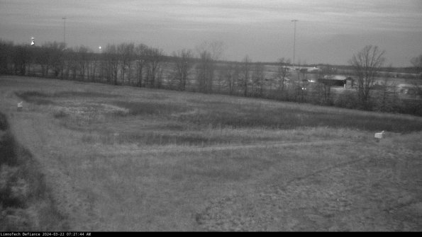 Cell 2_24-03-22_07-21-44-51