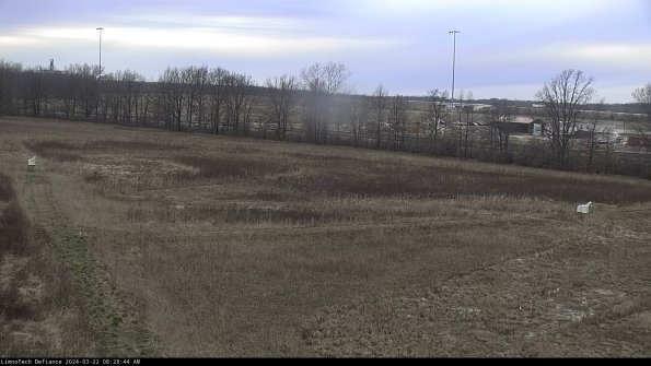 Cell 2_24-03-22_08-28-45-34