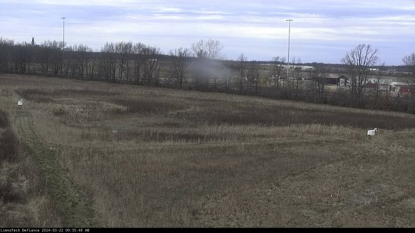 Cell 2_24-03-22_09-35-41-32