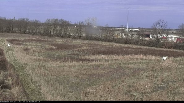 Cell 2_24-03-22_10-09-10-34