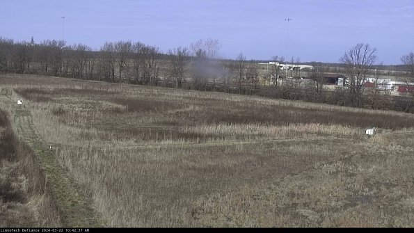 Cell 2_24-03-22_10-42-38-32