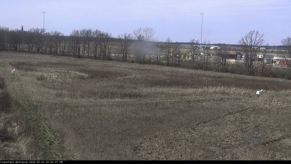 Cell 2_24-03-22_14-03-32-35