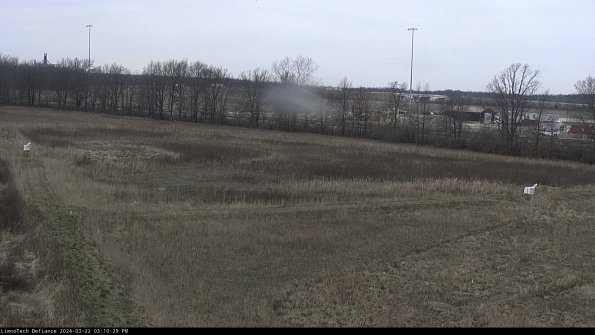 Cell 2_24-03-22_15-10-30-35