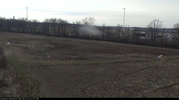 Cell 2_24-03-22_17-57-56-40