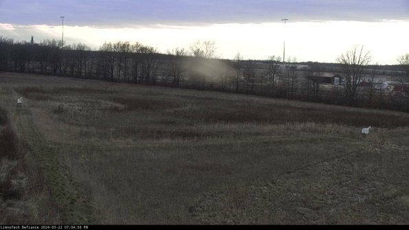 Cell 2_24-03-22_19-04-57-40