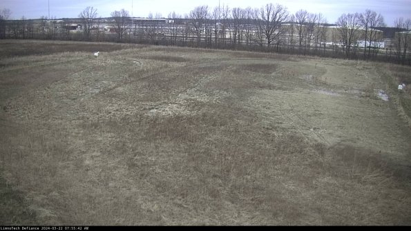 Cell 3_24-03-22_07-55-43-32