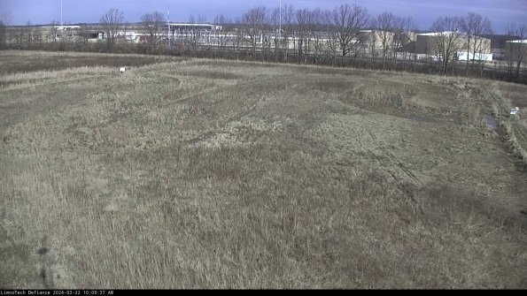 Cell 3_24-03-22_10-09-37-60