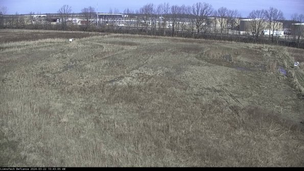 Cell 3_24-03-22_10-43-06-31