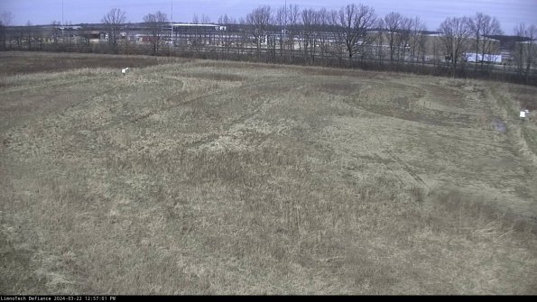 Cell 3_24-03-22_12-57-02-31