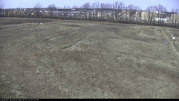 Cell 3_24-03-22_14-37-29-53