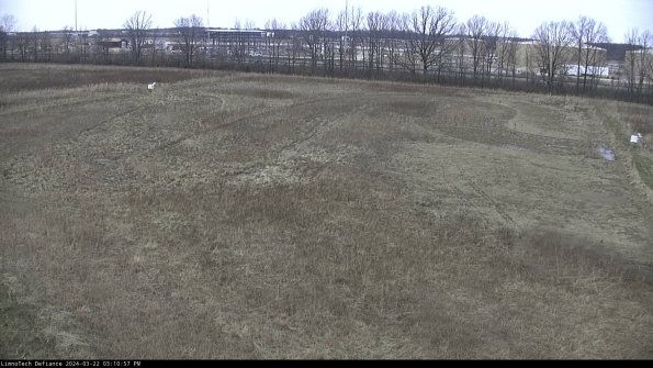 Cell 3_24-03-22_15-10-58-31