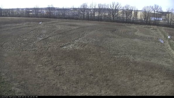 Cell 3_24-03-22_17-24-55-54