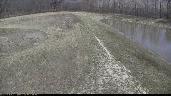 Cell 4 to Basin_24-03-22_12-58-00-37