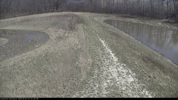 Cell 4 to Basin_24-03-22_13-31-29-32