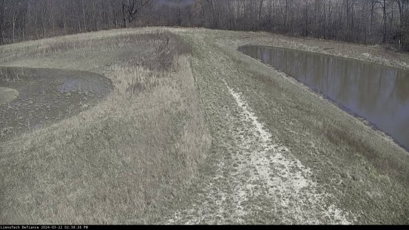 Cell 4 to Basin_24-03-22_14-38-27-32