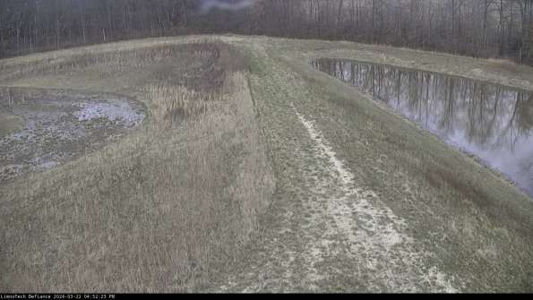 Cell 4 to Basin_24-03-22_16-52-24-32