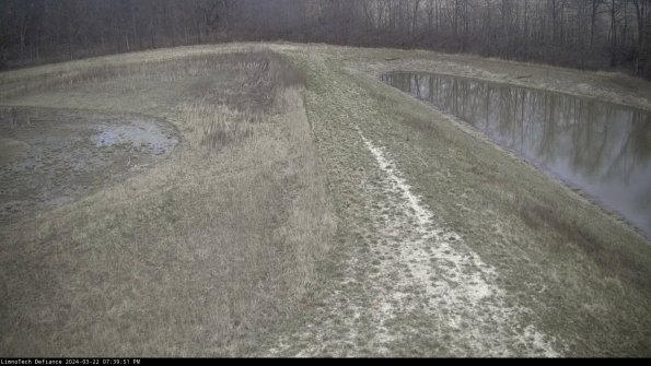 Cell 4 to Basin_24-03-22_19-39-52-33