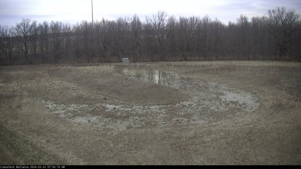 Cell 4_24-03-22_07-56-11-35