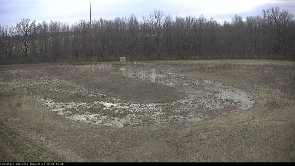 Cell 4_24-03-22_08-29-40-33