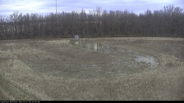 Cell 4_24-03-22_09-36-37-31