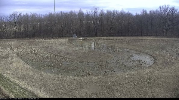 Cell 4_24-03-22_10-10-05-29