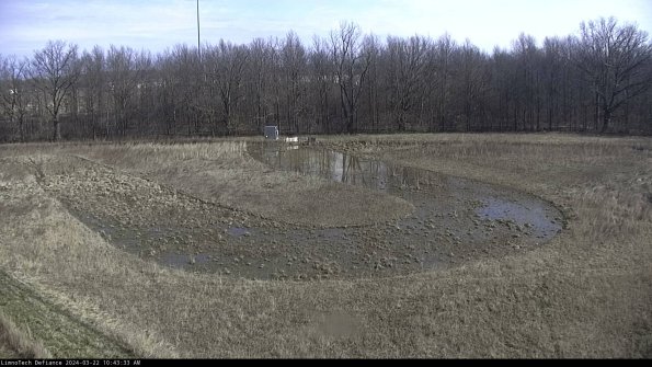 Cell 4_24-03-22_10-43-34-31