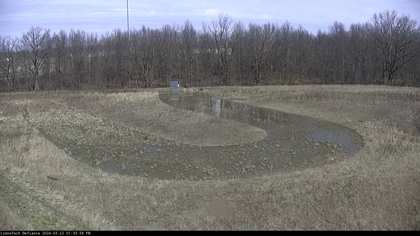 Cell 4_24-03-22_13-30-59-32