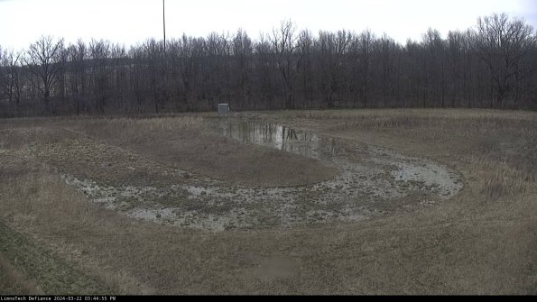 Cell 4_24-03-22_15-44-56-32