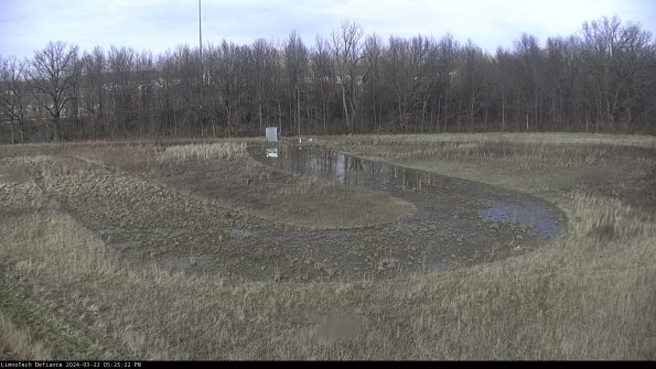 Cell 4_24-03-22_17-25-23-31