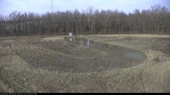 Cell 4_24-03-22_17-58-52-32