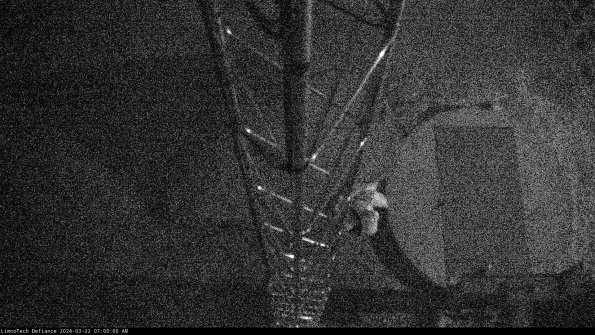 Hatch_24-03-22_07-00-01-27