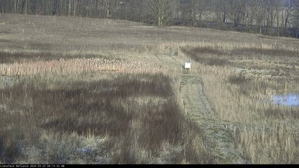 Cell 1 to 2_24-03-23_08-15-32-66