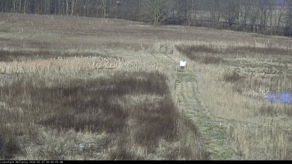 Cell 1 to 2_24-03-23_08-49-03-64