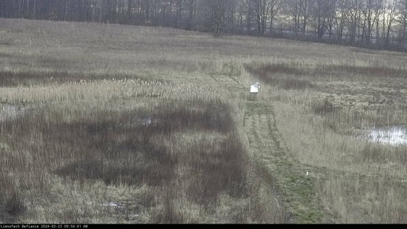 Cell 1 to 2_24-03-23_09-56-01-67