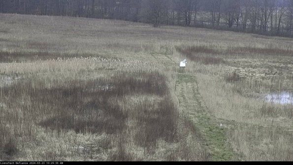 Cell 1 to 2_24-03-23_10-29-30-65