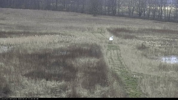 Cell 1 to 2_24-03-23_11-03-00-63