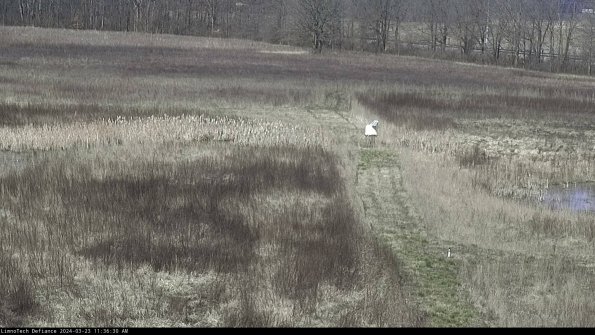 Cell 1 to 2_24-03-23_11-36-30-64