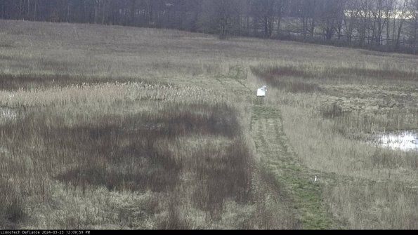 Cell 1 to 2_24-03-23_12-09-59-66