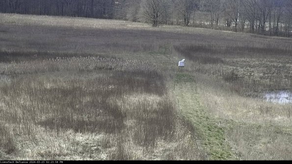 Cell 1 to 2_24-03-23_14-23-58-65