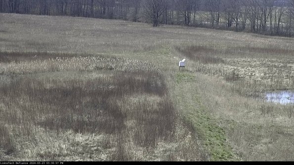 Cell 1 to 2_24-03-23_15-30-57-65