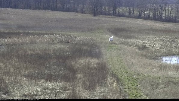 Cell 1 to 2_24-03-23_16-37-55-65