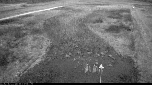 Cell 1_24-03-23_07-08-18-68