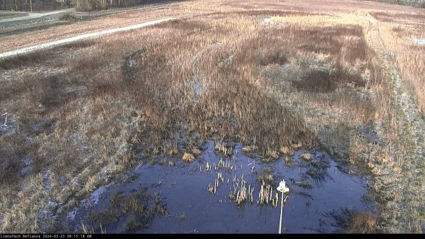 Cell 1_24-03-23_08-15-18-64