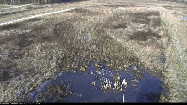 Cell 1_24-03-23_08-48-49-66