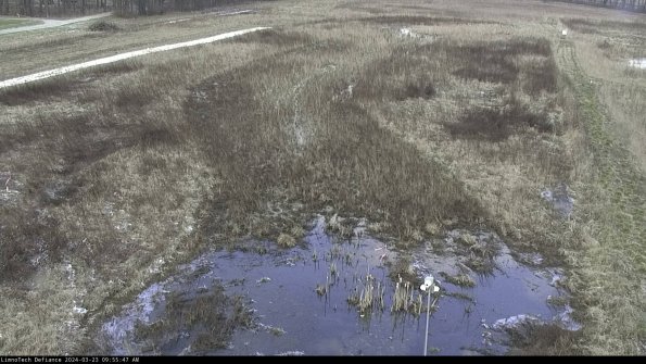 Cell 1_24-03-23_09-55-47-65