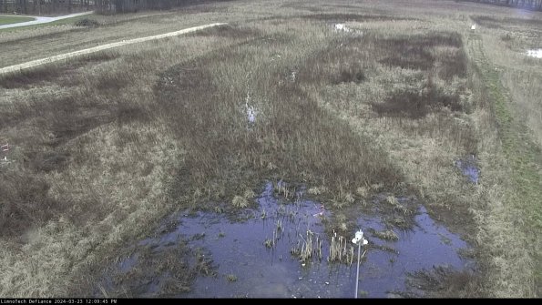 Cell 1_24-03-23_12-09-45-64