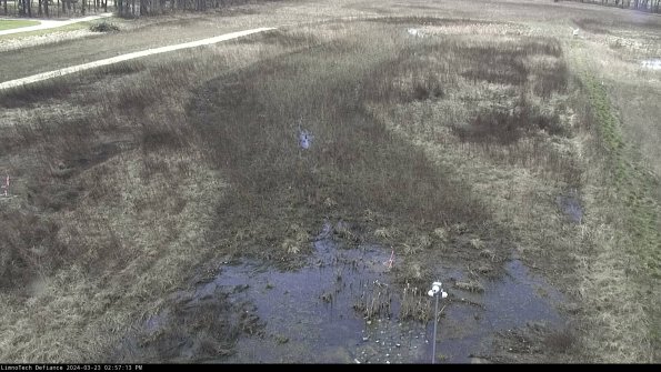 Cell 1_24-03-23_14-57-13-65